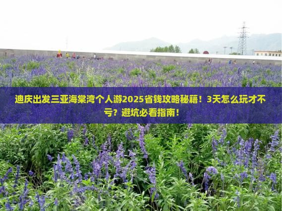 迪庆出发三亚海棠湾个人游