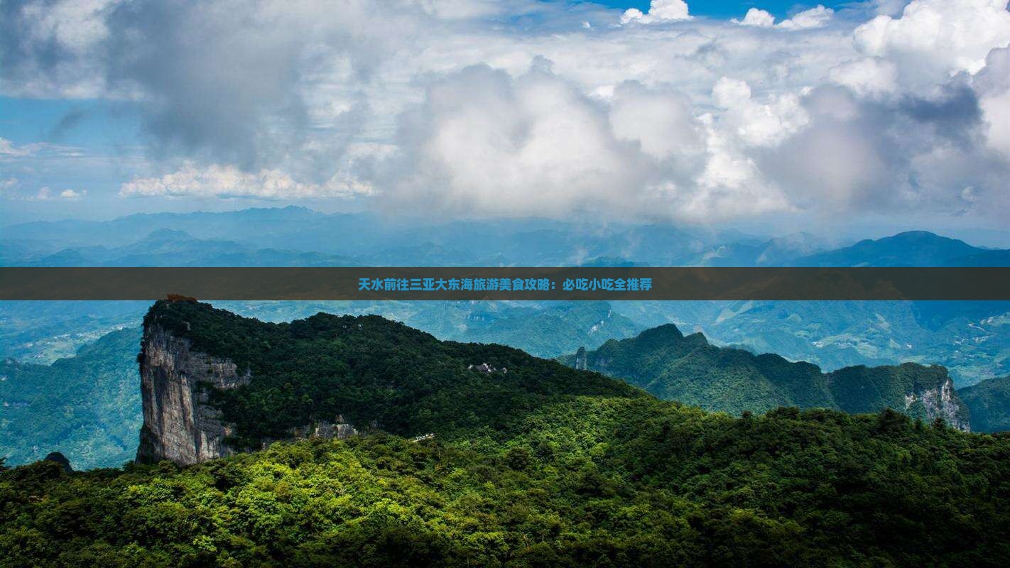 天水前往三亚大东海旅游小吃