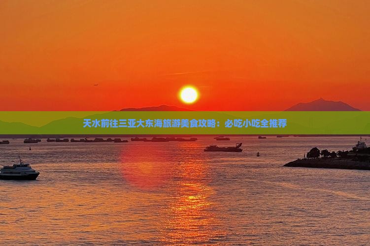 天水前往三亚大东海旅游小吃