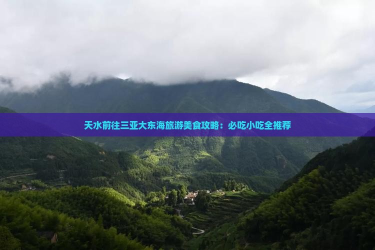 天水前往三亚大东海旅游小吃
