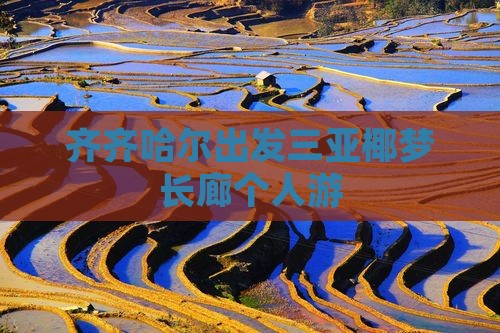 齐齐哈尔出发三亚椰梦长廊个人游