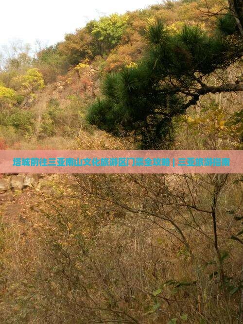 塔城前往三亚南山文化旅游区门票全攻略 | 三亚旅游指南