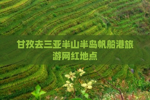 甘孜去三亚半山半岛帆船港旅游网红地点