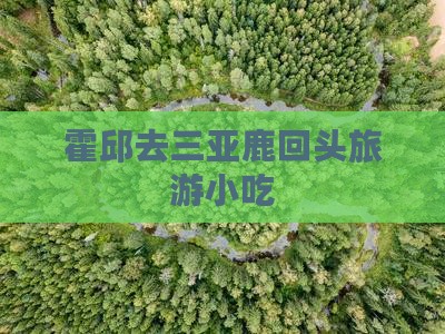 霍邱去三亚鹿回头旅游小吃