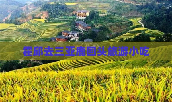 霍邱去三亚鹿回头旅游小吃