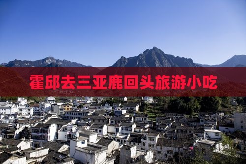 霍邱去三亚鹿回头旅游小吃
