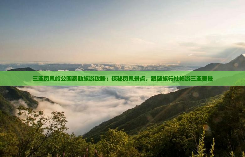 三亚凤凰岭公园泰勒旅游攻略：探秘凤凰景点，跟随旅行社畅游三亚美景