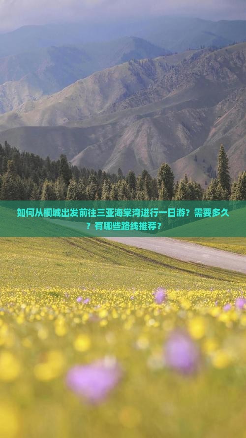 如何从桐城出发前往三亚海棠湾进行一日游？需要多久？有哪些路线推荐？