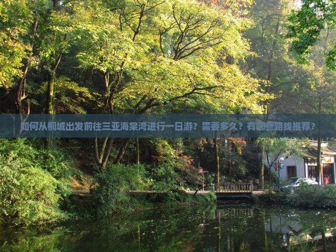 如何从桐城出发前往三亚海棠湾进行一日游？需要多久？有哪些路线推荐？