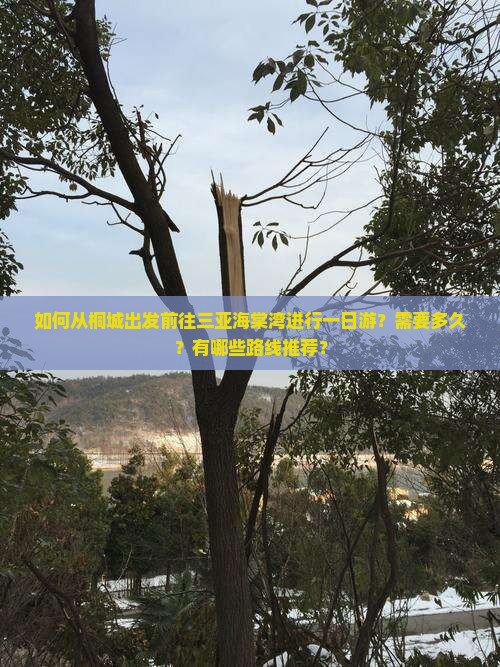 如何从桐城出发前往三亚海棠湾进行一日游？需要多久？有哪些路线推荐？