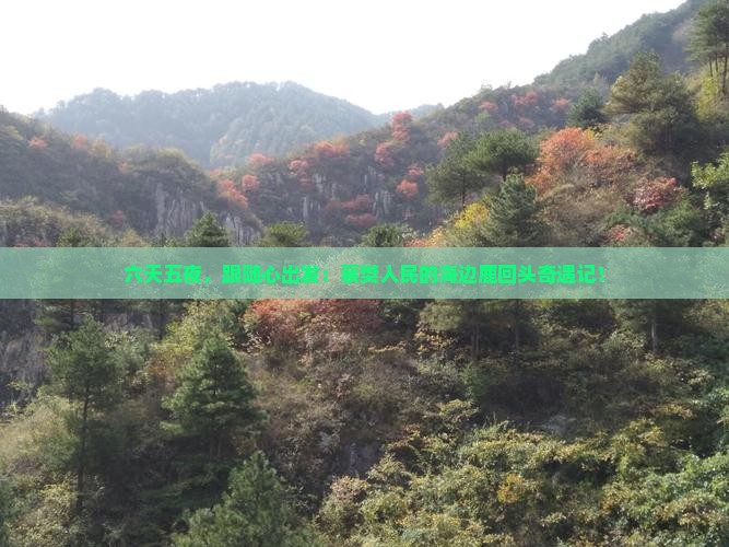 六天五夜，跟随心出发：襄樊人民的海边鹿回头奇遇记！