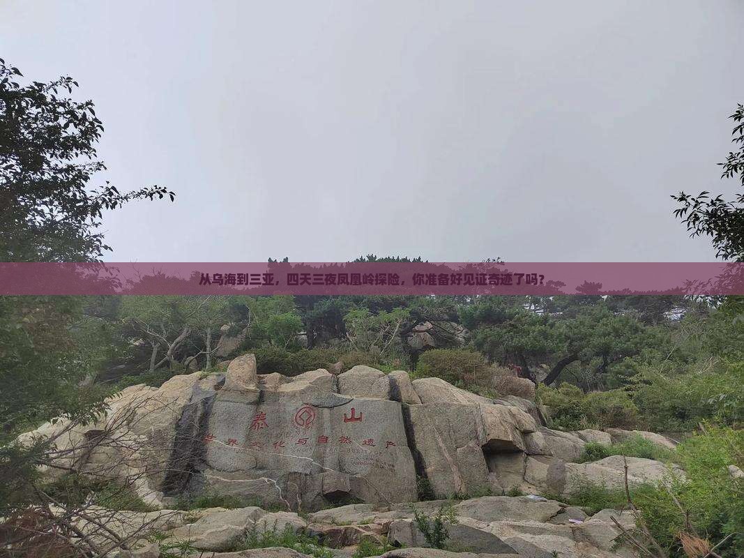 从乌海到三亚，四天三夜凤凰岭探险，你准备好见证奇迹了吗？