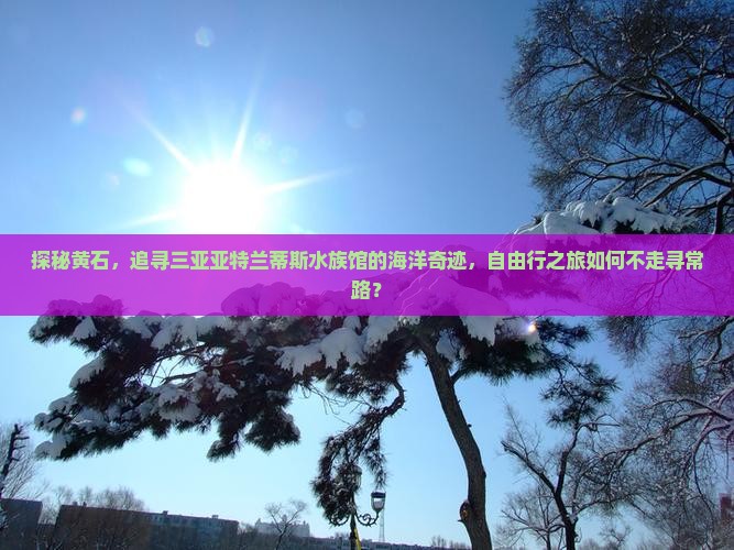 探秘黄石，追寻三亚亚特兰蒂斯水族馆的海洋奇迹，自由行之旅如何不走寻常路？