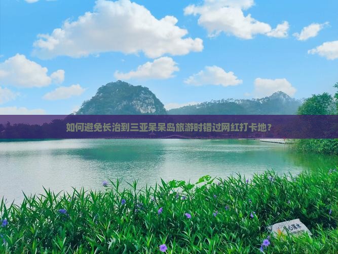 如何避免长治到三亚呆呆岛旅游时错过网红打卡地？