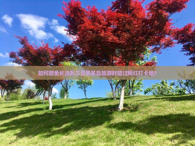 如何避免长治到三亚呆呆岛旅游时错过网红打卡地？
