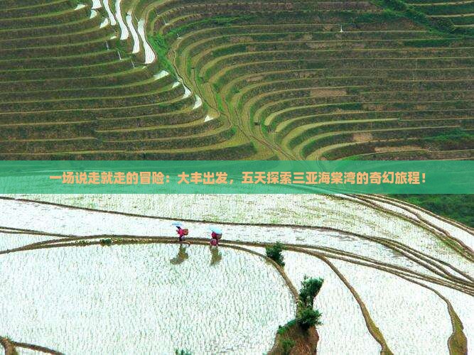 一场说走就走的冒险：大丰出发，五天探索三亚海棠湾的奇幻旅程！