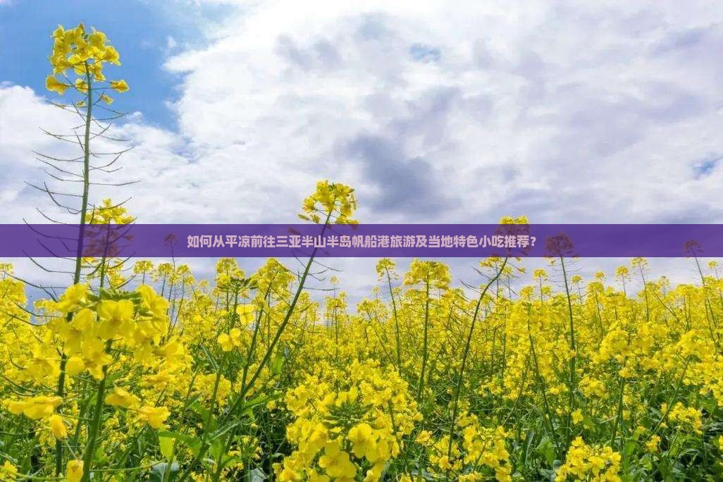 如何从平凉前往三亚半山半岛帆船港旅游及当地特色小吃推荐？