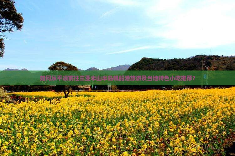 如何从平凉前往三亚半山半岛帆船港旅游及当地特色小吃推荐？