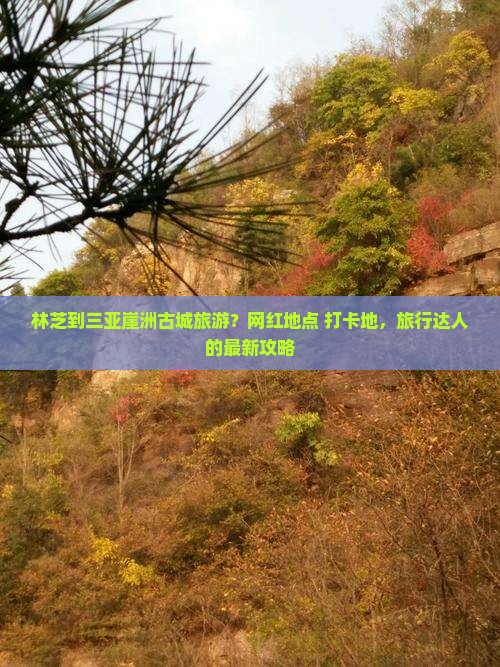 林芝到三亚崖洲古城旅游？网红地点+打卡地，旅行达人的最新攻略
