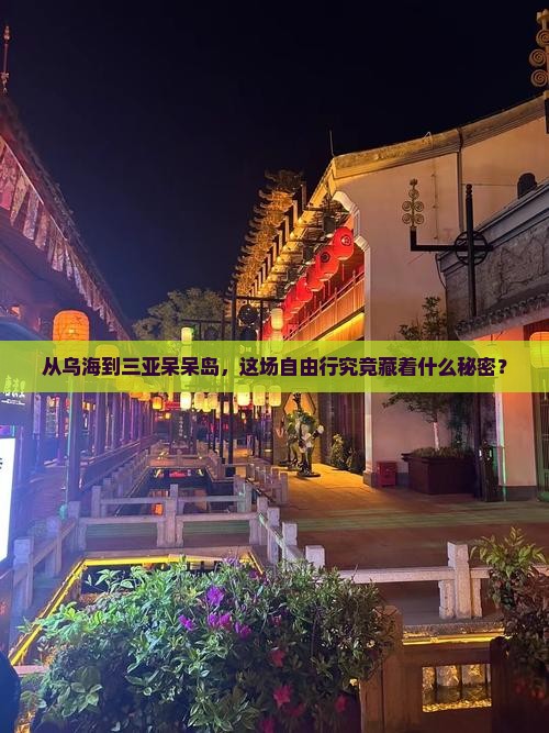 从乌海到三亚呆呆岛，这场自由行究竟藏着什么秘密？