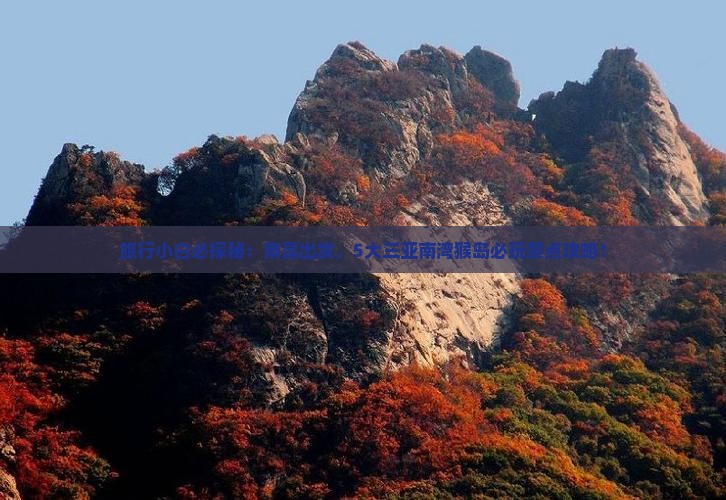 旅行小白必探秘：南昌出发，5大三亚南湾猴岛必玩景点攻略！