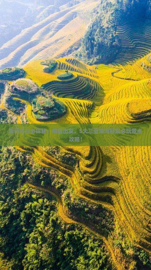 旅行小白必探秘：南昌出发，5大三亚南湾猴岛必玩景点攻略！