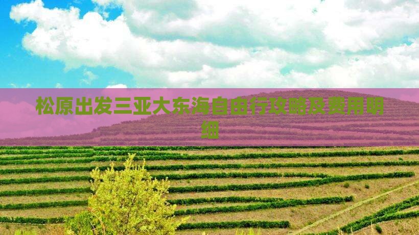 松原出发三亚大东海自由行攻略及费用明细