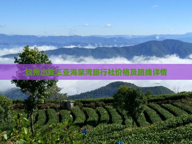 钦州出发三亚海棠湾旅行社价格及路线详情