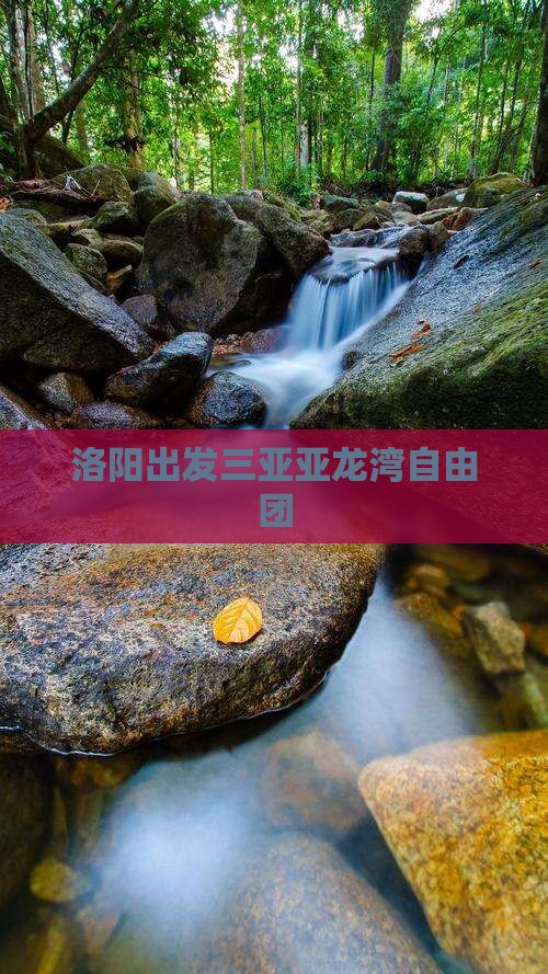 洛阳出发三亚亚龙湾自由团