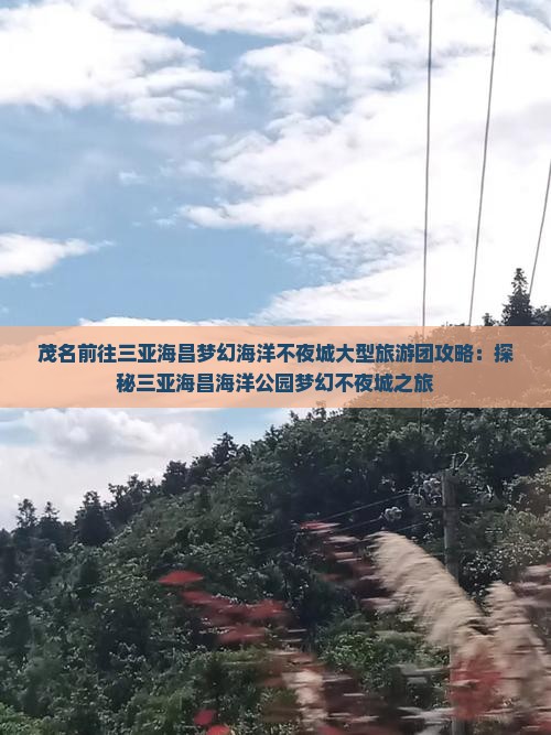 茂名前往三亚海昌梦幻海洋不夜城大型旅游团攻略：探秘三亚海昌海洋公园梦幻不夜城之旅