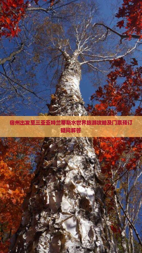 宿州出发至三亚亚特兰蒂斯水世界旅游攻略及门票预订疑问解答