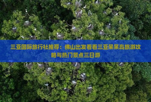 三亚国际旅行社推荐：佛山出发看看三亚呆呆岛旅游攻略与热门景点三日游
