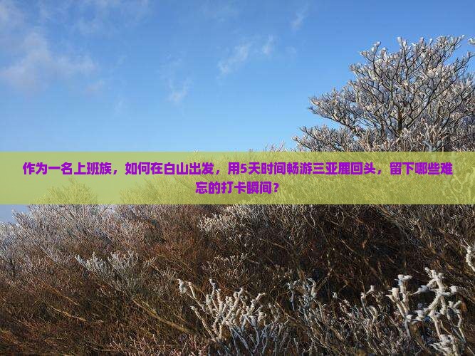 作为一名上班族，如何在白山出发，用5天时间畅游三亚鹿回头，留下哪些难忘的打卡瞬间？
