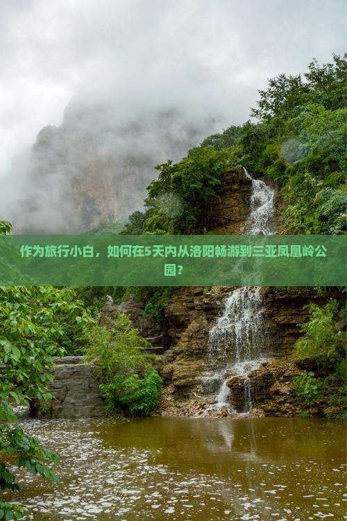作为旅行小白，如何在5天内从洛阳畅游到三亚凤凰岭公园？