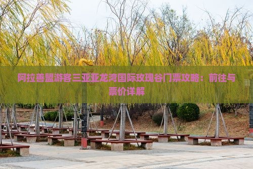 阿拉善盟游客三亚亚龙湾国际玫瑰谷门票攻略：前往与票价详解
