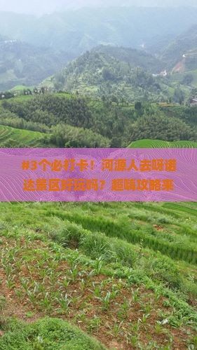 #3个必打卡！河源人去呀诺达景区好玩吗？超嗨攻略来啦