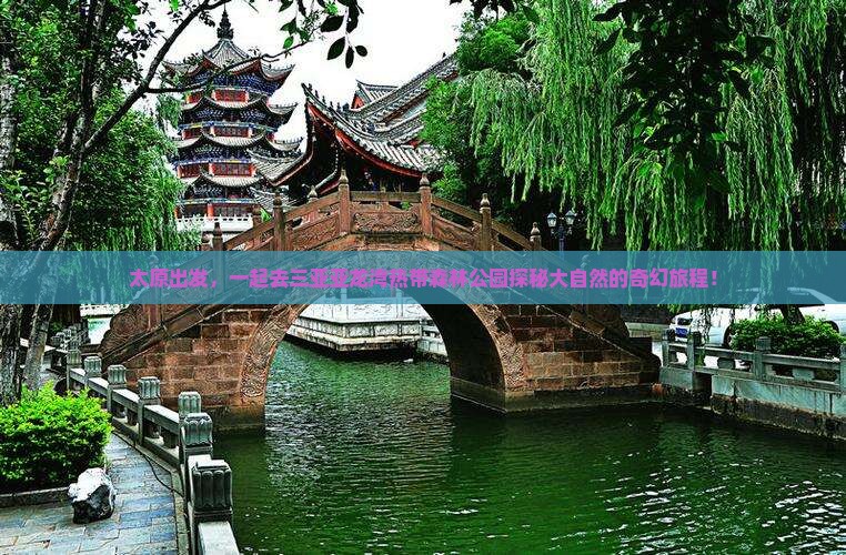太原出发，一起去三亚亚龙湾热带森林公园探秘大自然的奇幻旅程！