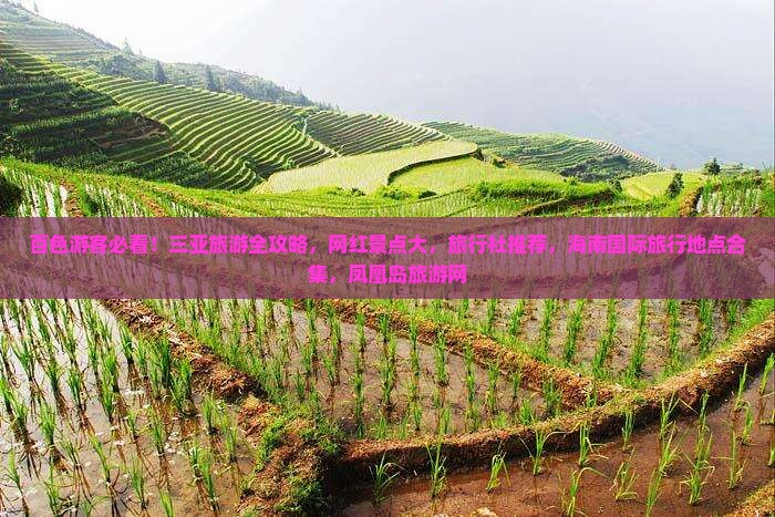 百色游客必看！三亚旅游全攻略，网红景点大，旅行社推荐，海南国际旅行地点合集，凤凰岛旅游网
