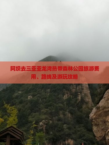 阿坝去三亚亚龙湾热带森林公园旅游费用、路线及游玩攻略