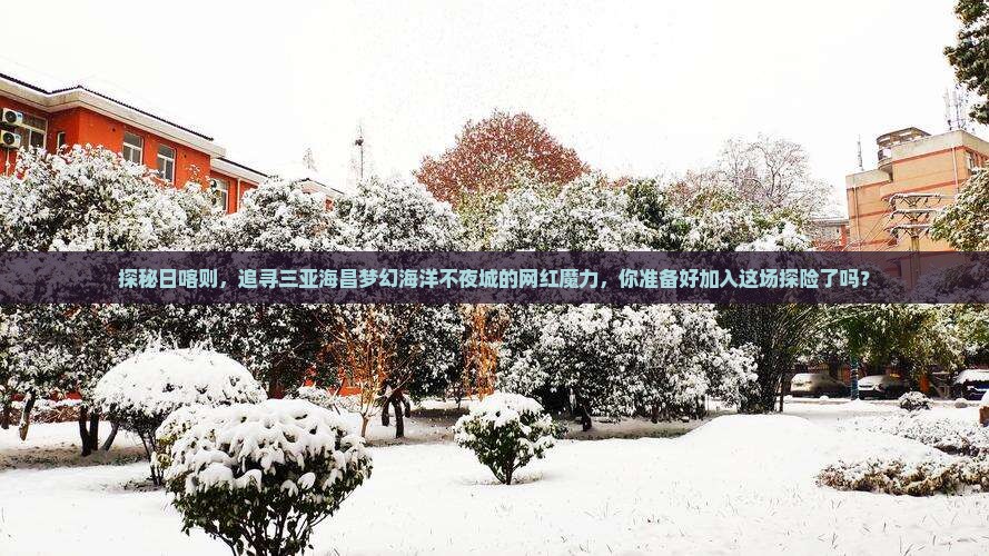 探秘日喀则，追寻三亚海昌梦幻海洋不夜城的网红魔力，你准备好加入这场探险了吗？