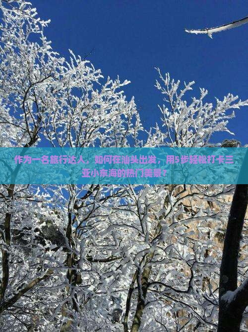 作为一名旅行达人，如何在汕头出发，用5步轻松打卡三亚小东海的热门美景？