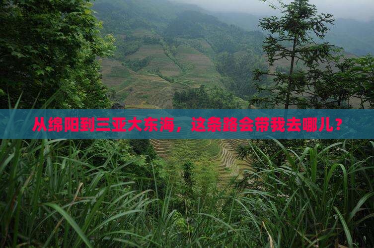 从绵阳到三亚大东海，这条路会带我去哪儿？