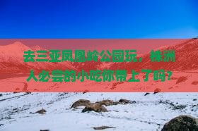 去三亚凤凰岭公园玩，株洲人必尝的小吃你带上了吗？