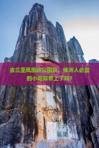 去三亚凤凰岭公园玩，株洲人必尝的小吃你带上了吗？
