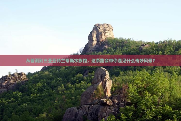 从普洱到三亚亚特兰蒂斯水族馆，这条路会带你遇见什么奇妙风景？