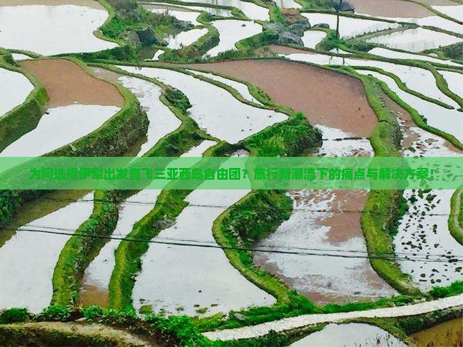 为何选择伊犁出发直飞三亚西岛自由团？旅行新潮流下的痛点与解决方案！