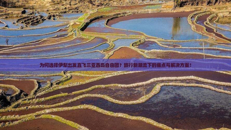 为何选择伊犁出发直飞三亚西岛自由团？旅行新潮流下的痛点与解决方案！