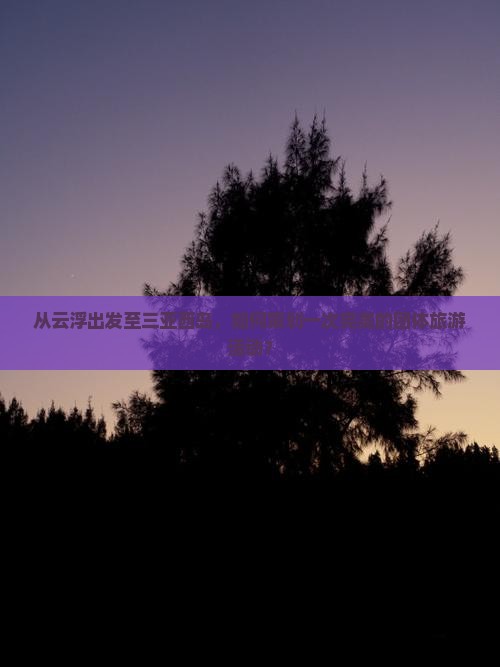 从云浮出发至三亚西岛，如何策划一次完美的团体旅游活动？