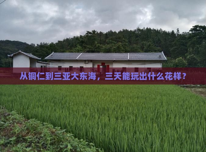 从铜仁到三亚大东海，三天能玩出什么花样？