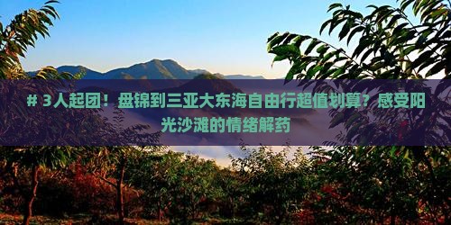 # 3人起团！盘锦到三亚大东海自由行超值划算？感受阳光沙滩的情绪解药
